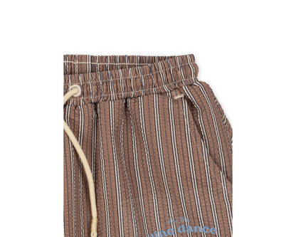 Seer Asnou Swim Shorts - Tigers Eye