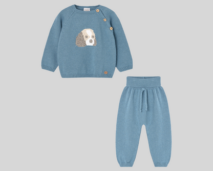 Dog Sweater Set