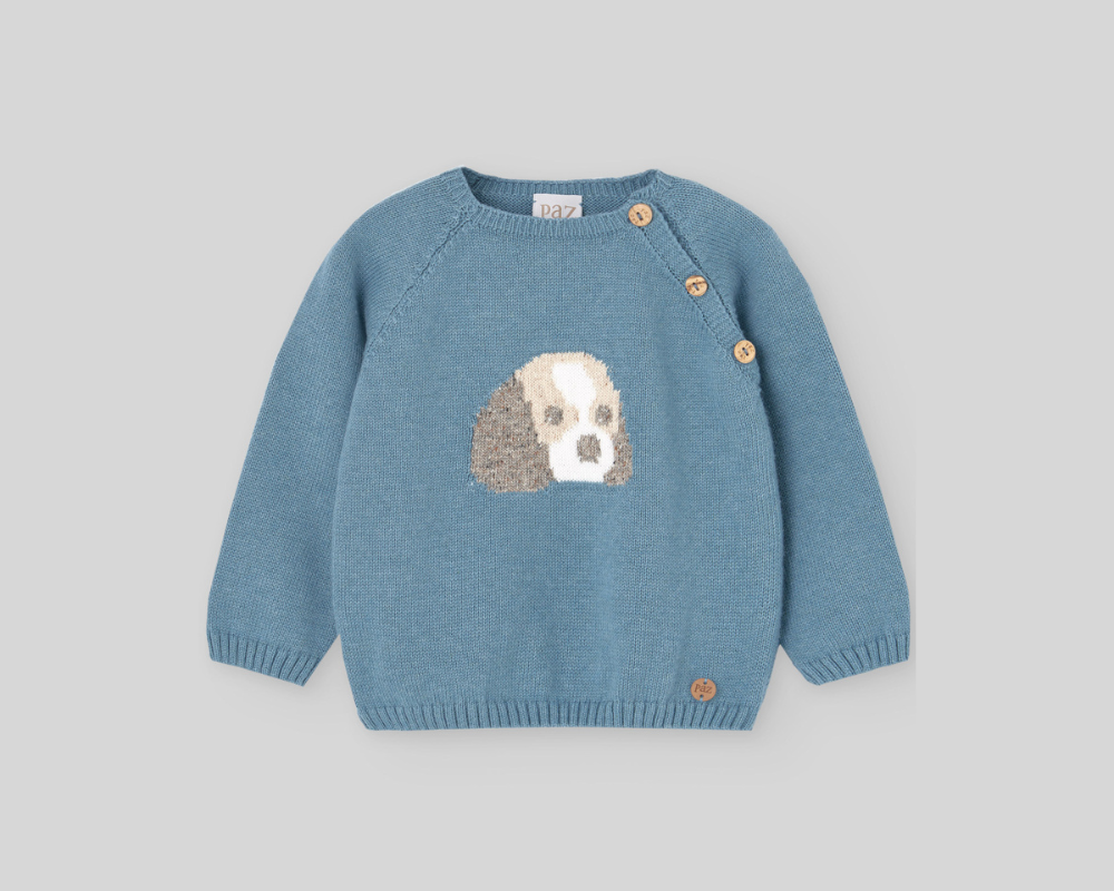 Dog Sweater Set